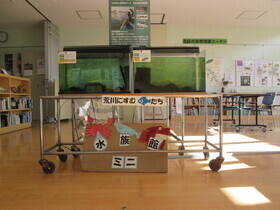 館内展示