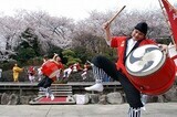 過去の「北区さくらSA-KASOまつり」のエイサー太鼓演奏の様子の画像